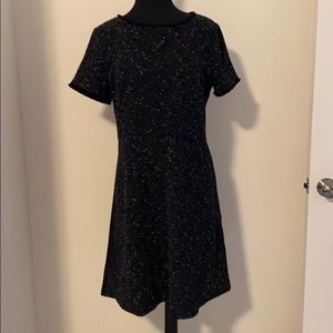 NWT Loft Fit & Flare black & white dress 12